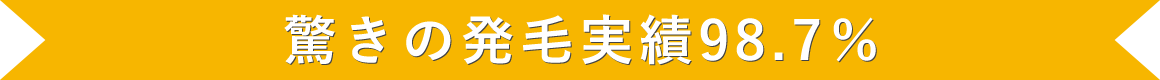 発毛実績タイトル